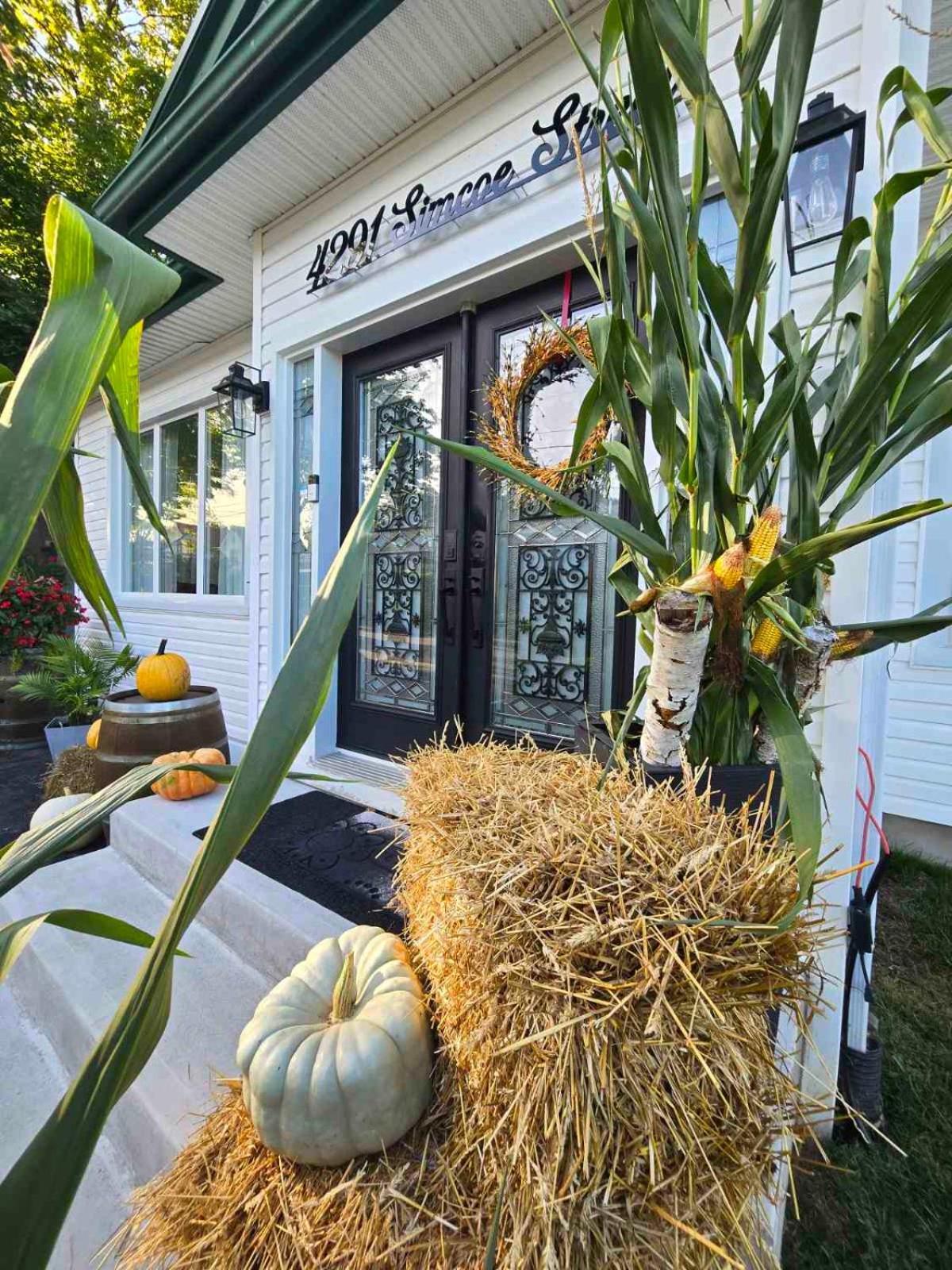Serenity Bed & Breakfast *